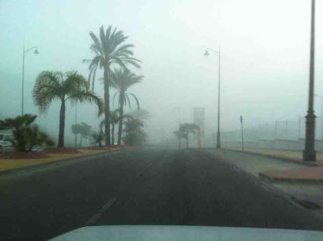 post-281-15066645786444_thumb.jpg
