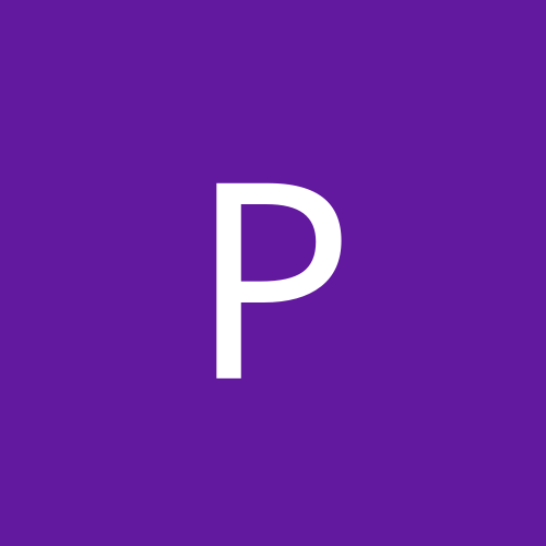 Polimur33