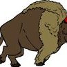 elbuffalo69