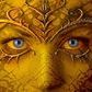 Soril