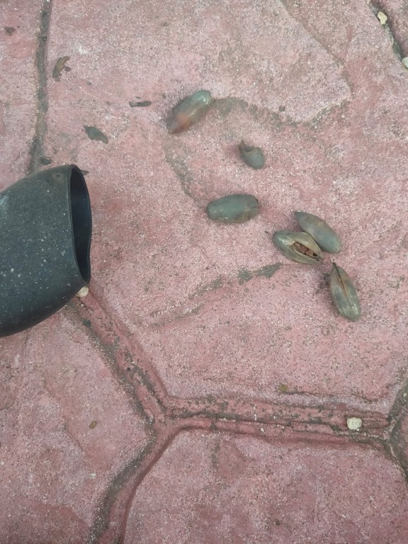 WhatsApp Image 2021-09-19 at 17.06.21.jpeg