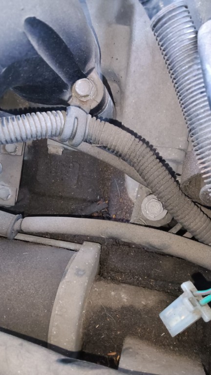 WhatsApp Image 2023-05-28 at 10.49.44 (1).jpeg