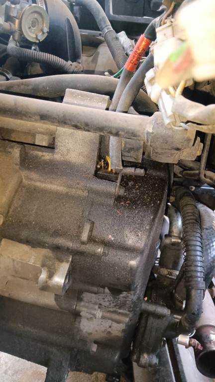 WhatsApp Image 2023-05-28 at 10.49.44 (2).jpeg