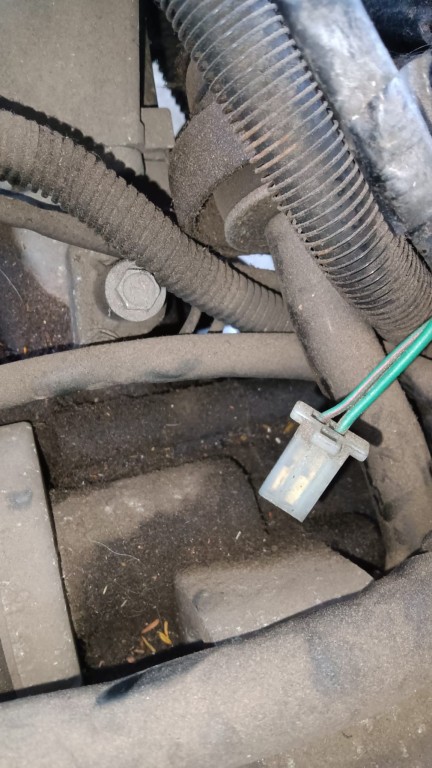 WhatsApp Image 2023-05-28 at 10.49.44.jpeg