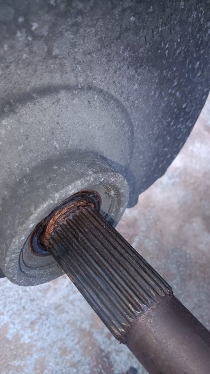 WhatsApp Image 2023-05-28 at 10.49.45.jpeg